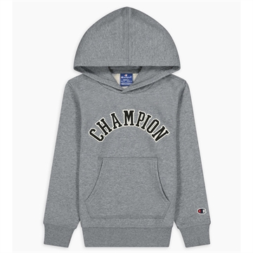Champion Hooded Sweatshirt 305773 NGAM